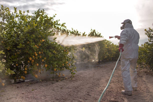 Best Seasonal Pest Control  in Ewa Gentry, HI